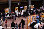 IMG_7365.jpg