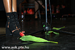 IMG_6985.jpg