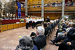 IMG_8446.jpg