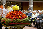 IMG_8455.jpg