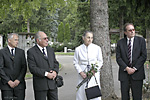 IMG_6116.jpg
