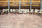 IMG_1749.jpg