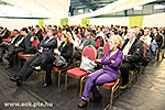 IMG_1919.jpg