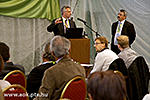 IMG_1937.jpg