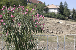 IMG_6789.jpg