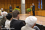 IMG_2894.jpg