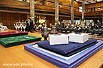 IMG_2974.jpg