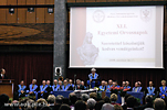 IMG_7385.jpg