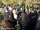 P1110504.jpg