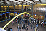 IMG_2556.jpg