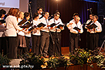 IMG_4211.jpg