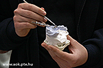 IMG_4985.jpg