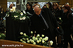 IMG_5242.jpg