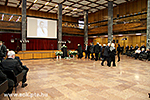 IMG_5247.jpg