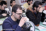IMG_5890.jpg