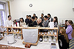 IMG_5938.jpg