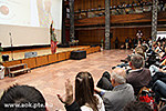 IMG_6335.jpg
