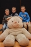 teddy_050.jpg