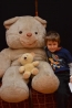 teddy_067.jpg