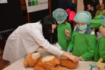 teddy_079.jpg