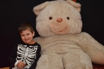 teddy_094.jpg