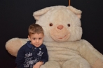teddy_115.jpg