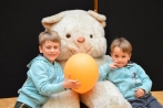 teddy_182.jpg