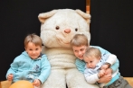 teddy_183.jpg