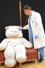 teddy_192.jpg