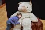 teddy_194.jpg