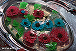 IMG_7538.jpg