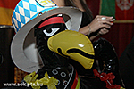 IMG_7548.jpg