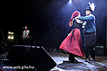 IMG_7741.jpg