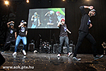 IMG_7761.jpg
