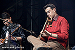 IMG_7803.jpg