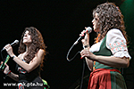 IMG_7843.jpg