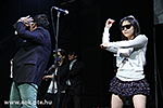 IMG_8009.jpg