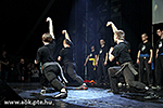 IMG_8241.jpg