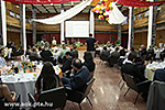 IMG_3115.jpg