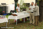 IMG_3317.jpg