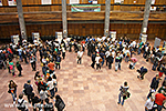 IMG_3469.jpg