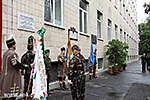 IMG_3931.jpg