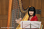 IMG_4256.jpg
