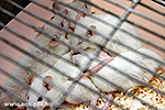 IMG_4319.jpg