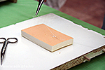 IMG_4323.jpg