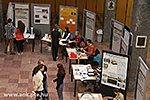 IMG_4334.jpg