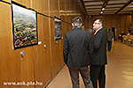 IMG_6416.jpg