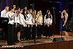 IMG_6774.jpg
