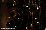 IMG_6786.jpg