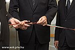 IMG_7784.jpg